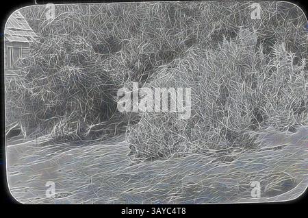 A serene landscape featuring a calm body of water, surrounded by dense, textured foliage and trees. The scene evokes a sense of tranquility and nature's beauty, with gentle ripples across the water's surface capturing a quiet moment in the outdoors., Lantern Slide - Foreshore, Port Phillip Bay, Victoria, circa 1900, Black and white glass lantern slide of shrubbery lining the foreshore of Port Phillip Bay, Victoria, photographed by A.J. Campbell. The small portion of building to the left of the slide has a split timber roof, no glass in its window and would be all hand built, helping to date Stock Photo