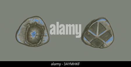 Two uniquely shaped objects, one featuring a circular, textured interior and the other displaying a geometric pattern of triangles and squares, both showcasing a subtle blend of earthy tones and blue highlights. Stater (Coin) Depicting a Land Tortoise, 404/350 BC, Greek, minted in Aegina, Greece, Silver, Diam. 2 cm, 12.28 g  Classic art with a modern twist reimagined by Artotop Stock Photo