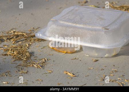 clear plastic food takeout container Stock Photo