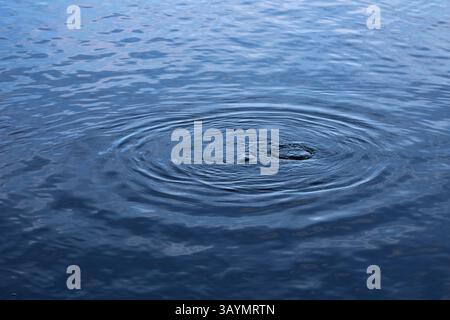 drop in blue water with ripples Stock Photo