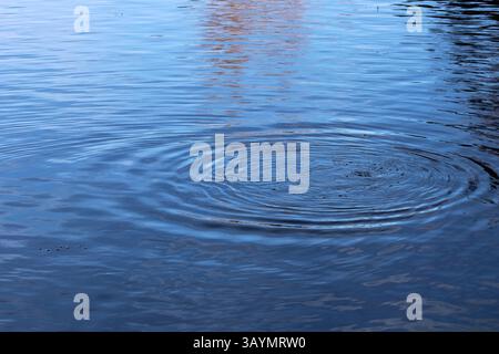drop in blue water with ripples Stock Photo