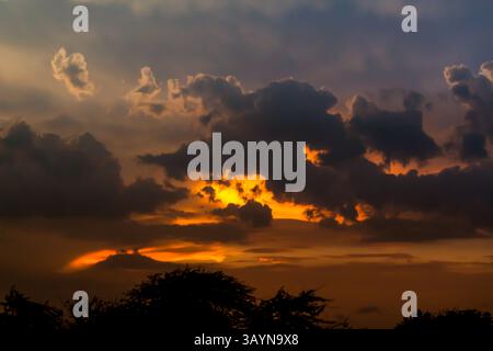 Dramatic dark clouds illuminated by golden sunset light with vibrant sky colors and silhouetted trees creating a stunning evening scene Stock Photo