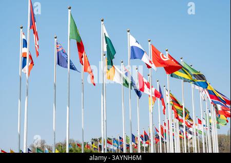 A collection of various national flags fluttering in the wind under a clear blue sky. Ideal for themes such as international conferences, United Natio Stock Photo