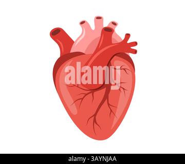 Human heart icon. Internal organ. Cardiology and anatomy concept. Medical Vector illustration in flat cartoon style Stock Vector