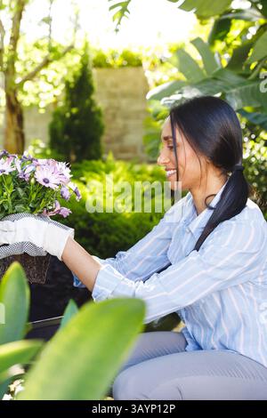 woman kneeling in backyard garden planting pink daisies with gloves and wheelbarrow, copy space Stock Photo