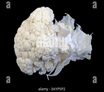 Cauliflower head with clipping path on black Stock Photo