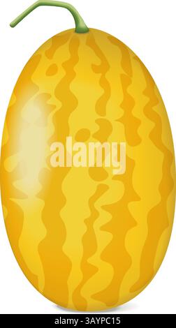 Gold in Gold Watermelon. Citrullus lanatus. Fruits and vegetables. Isolated vector illustration. Stock Vector