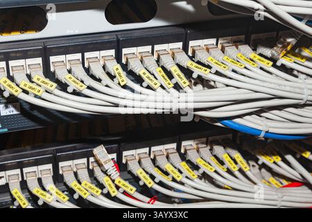 The back wall of the server cabinet, with internet cables connected to the server unit. Stock Photo