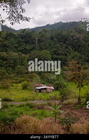 Lush tropical forest lines the serene river in this travel concept from ...
