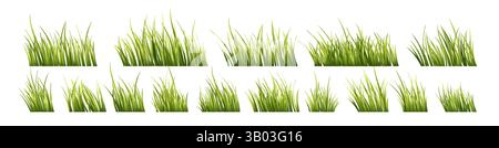 Vector Illustration of Vibrant Green Grass Elements on a White Background Showcasing Various Growth Styles and Arrangements Stock Vector