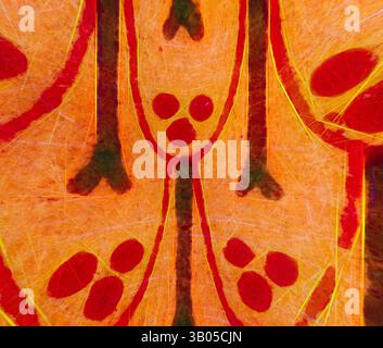 A vibrant tapestry of abstract patterns, featuring intricate designs in warm hues. The artwork showcases flowing lines and geometric shapes, creating a dynamic sense of movement and energy., A circular surface featuring a vibrant pattern of stylized figures with round heads and elongated bodies, interconnected by decorative elements against a warm background. The design conveys a sense of movement and rhythm, evoking a playful and artistic expression. Classic art with a modern twist reimagined by Artotop, Transformed Egyptian Ornament, Classic art with a modern twist reimagined by Artotop Stock Photo