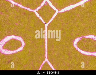 An abstract composition featuring bold, glowing pink lines forming geometric shapes on a textured golden background, creating a striking visual contrast., A circular design featuring a geometric pattern with intersecting lines and shapes, creating a balanced visual effect. The central elements include two circles and ornate diamond shapes, all set against a contrasting background that enhances the overall symmetry. Classic art with a modern twist reimagined by Artotop, Transformed Mediæval Ornament, Classic art with a modern twist reimagined by Artotop Stock Photo