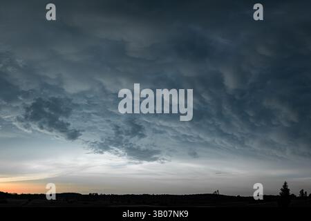 A stunning display of mammatus clouds stretches across the evening sky above a dark forest silhouette. Stock Photo