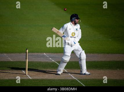 Sussex v Surrey - Rothesay County Championship  HOVE, ENGLAND - APRIL 19: Danny Lamb of Sussex leaving bouncer alone during Sussex v Surrey at The 1st Stock Photo