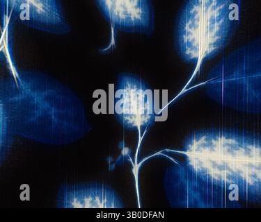 A close-up view of delicate leaves, outlined in bright blue against a dark background, creating an ethereal, glowing effect. The intricate veins and shapes of the foliage are highlighted, enhancing a sense of depth and texture., A round plate featuring an intricate design of blue leaves and delicate white branches against a dark background, creating a striking contrast and elegant aesthetic. Classic art with a modern twist reimagined by Artotop, Transformed French Fabrics, First Half of the Nineteenth Century, Classic art with a modern twist reimagined by Artotop Stock Photo