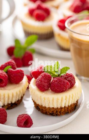 Classic New York cheesecakes in individual cups topped with fresh raspberry served with coffee Stock Photo