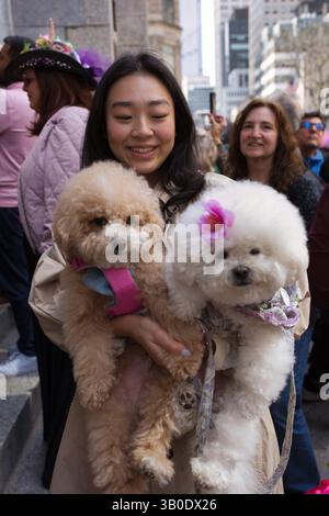 A young woman holds two small, fluffy dogs in her arms. One is light brown, the other white.  They are wearing harnesses and are in a city setting. Stock Photo