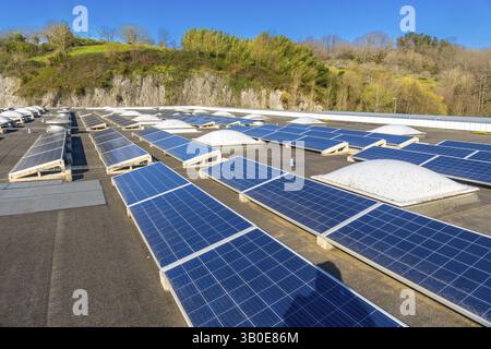 Rows of photovoltaic solar panels are mounted on a flat rooftop with skylights, providing sustainable energy for a commercial building Stock Photo