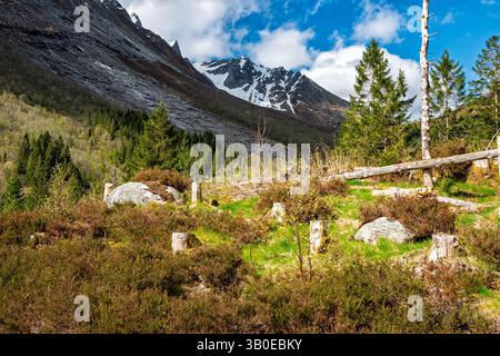 Snow-capped mountains rise in the background while lush greenery and stumps from tree cutting are visible in the valley below. Stock Photo