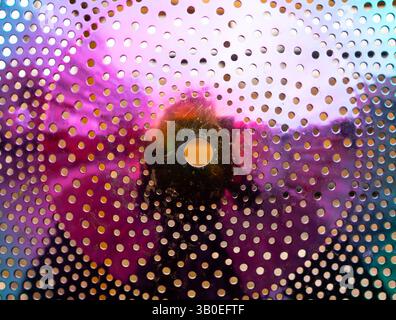 close up of pink and green metal cylinder with multiple holes reflecting metal colored pink and green and reflecting light rings of tiny holes in flow Stock Photo