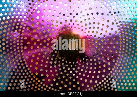 close up of pink and green metal cylinder with multiple holes reflecting metal colored pink and green and reflecting light rings of tiny holes in flow Stock Photo