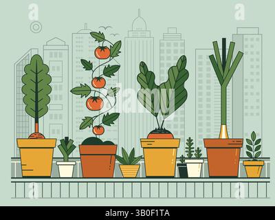 Growing Vegetables on Balcony Urban Garden Stock Vector