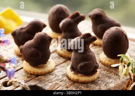 Homemade Easter no-bake cookies in the shape of bunnies and chicken Stock Photo
