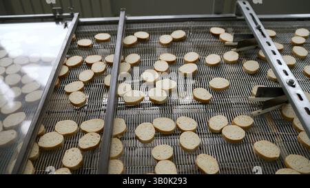 Industrial production line transporting round crackers systematically along automated conveyor belt during continuous food manufacturing process Stock Photo