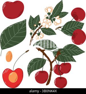 Illustration of Cherry, Leaves, Blossoms, and Branches on a White Background Stock Vector