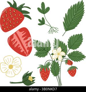 Hand-Drawn Strawberry Plant Illustration with Fruits, Flowers, and Green Foliage Stock Vector