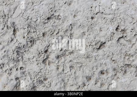 Porous Limestone Rock Surface Texture Stock Photo