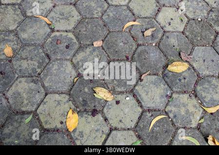 Close-up of hexagonal paving block Stock Photo