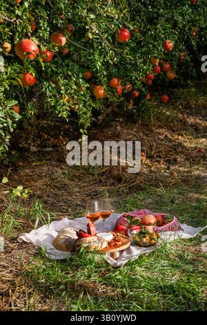 life view picnic scene featuring fresh pomegranates, walnuts, pine nuts, and creamy white cheese displayed on a wooden board, natural sunlight pomegra Stock Photo