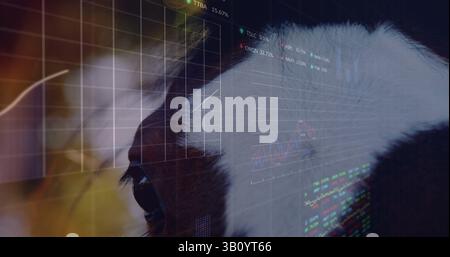 Image of data processing over horse and leaves Stock Photo