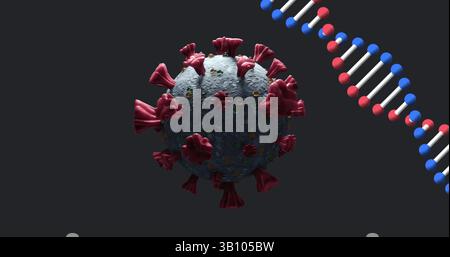 Image of dna strand spinning over covid 19 cell falling on dark background Stock Photo