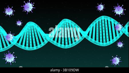 Displaying cyan 3D DNA wireframe helix running on dark gradient background, with purple virus icons Stock Photo