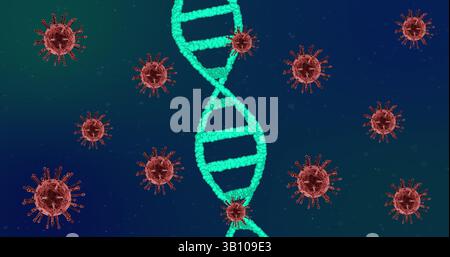 Spinning 3D turquoise DNA helix rotating in microscopic molecular scene, with red spiked viruses Stock Photo