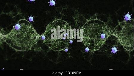 Illuminating green DNA helix pulsing in microscopic lab view, with purple virus particles Stock Photo