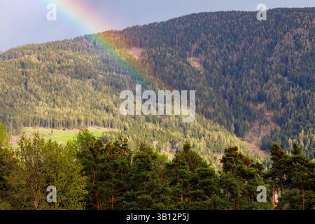 A rainbow arcs over a forested hillside, viewed from a lower elevation with trees in the foreground, set against a blue sky. Stock Photo