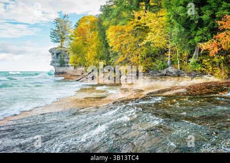 Colored trees are pictured in a forest near Frankfurt, Germany, Monday ...