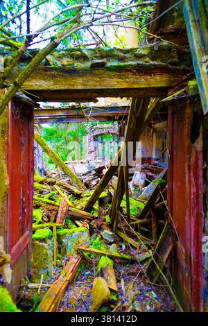 Bad Illstern, italy., Lost place. Overgrown debris fills a doorway in a collapsing structure, with forest visible beyond. Bright green moss and dilapi Stock Photo