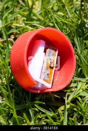 red circular pencil sharpener sitting in grass Stock Photo