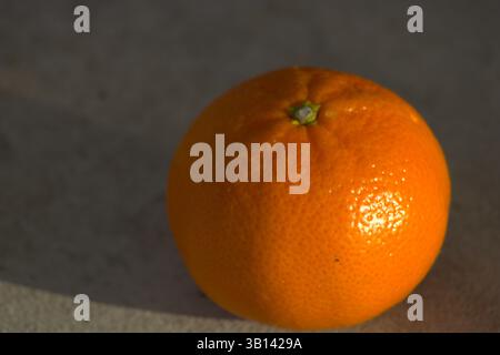miniature orange sitting on pavement Stock Photo