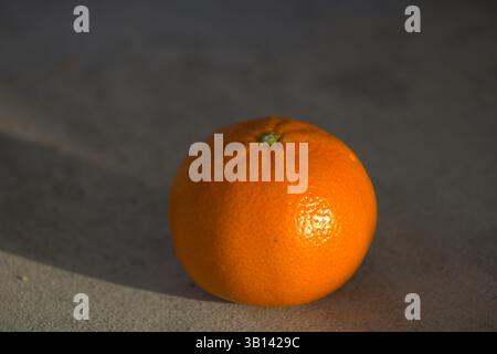 miniature orange sitting on pavement Stock Photo