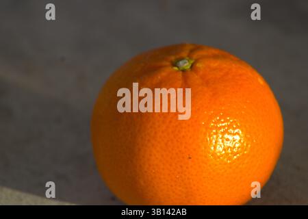 miniature orange sitting on pavement Stock Photo