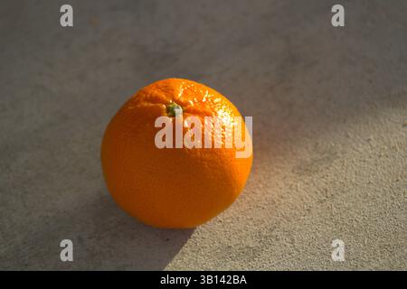 miniature orange sitting on pavement Stock Photo