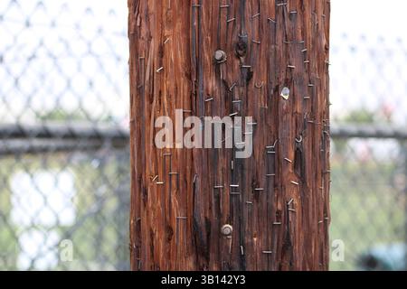 wood post with nails in it Stock Photo