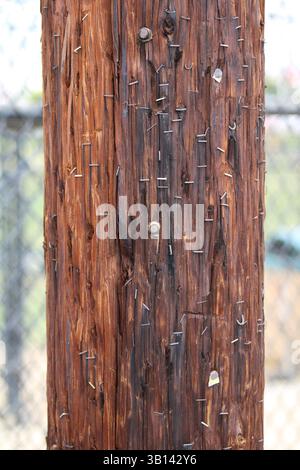 wood post with nails in it Stock Photo