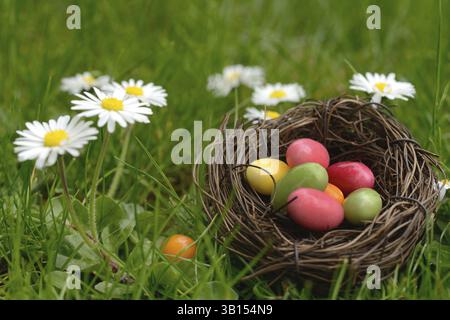 Sugar eggs in an Easter nest in the meadow with daisies Stock Photo