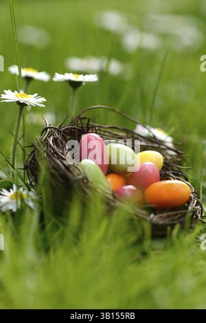 Sugar eggs in an Easter nest in the meadow with daisies Stock Photo